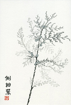 爱图图采集到水彩画