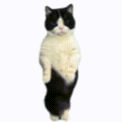 陈缤采集到GIF