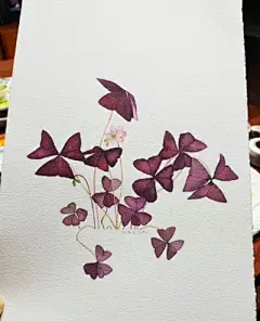 水彩---叶子 - 高清图片，堆糖，美图壁纸兴趣社区