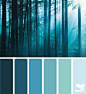 Forest blues palette (stick within these shades of blue)