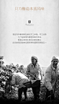 雨燕正牌 chateau martine 法国原瓶原装进口干红葡萄酒 红酒单支-tmall.com天猫
