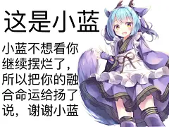 群友的表情包（4）（游戏王）