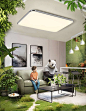 <a class="text-meta meta-mention" href="/datoushanshan/">@是瘦瘦呀</a>