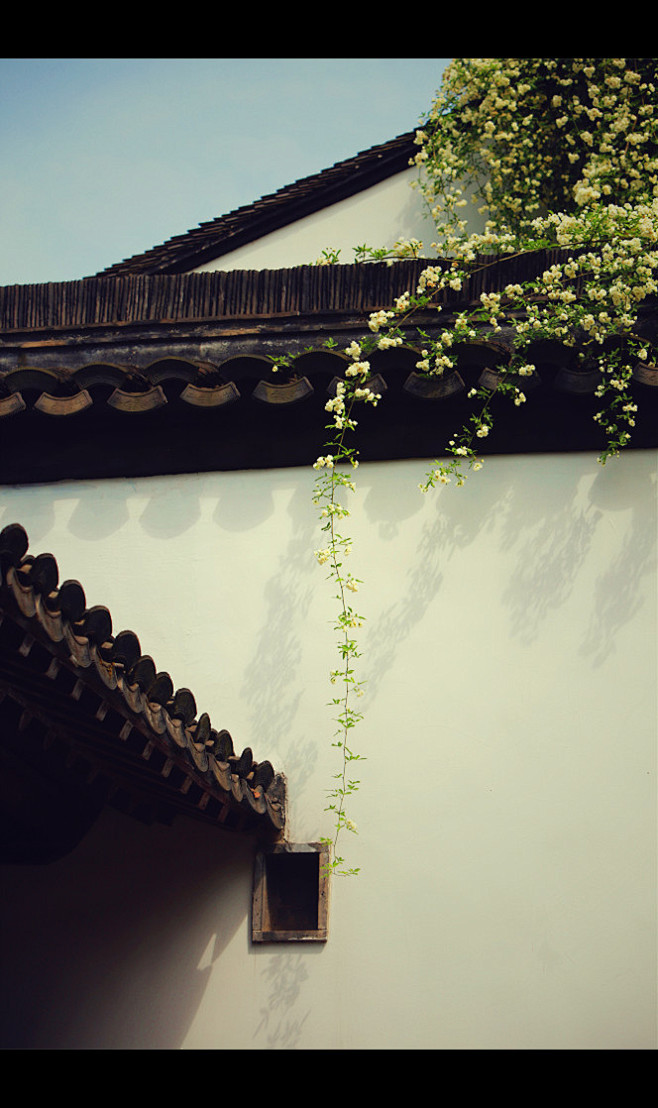 犹如莲花不着水，亦如日月不住空。
