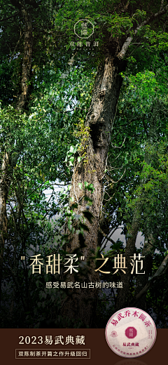 Near09采集到待归类采集