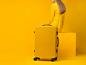 色彩：芥黄色 Mustard<br/>产品：GINKGO银杏复古旅行箱<br/>公司：ITO（上海）<br/>设计师：刘知礼<br/>时间：2014