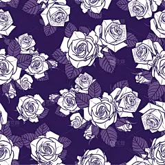 玫瑰,纺织品,四方连续纹样,白色,矢量,单色调,壁纸,紫色背景,文书工作,完美