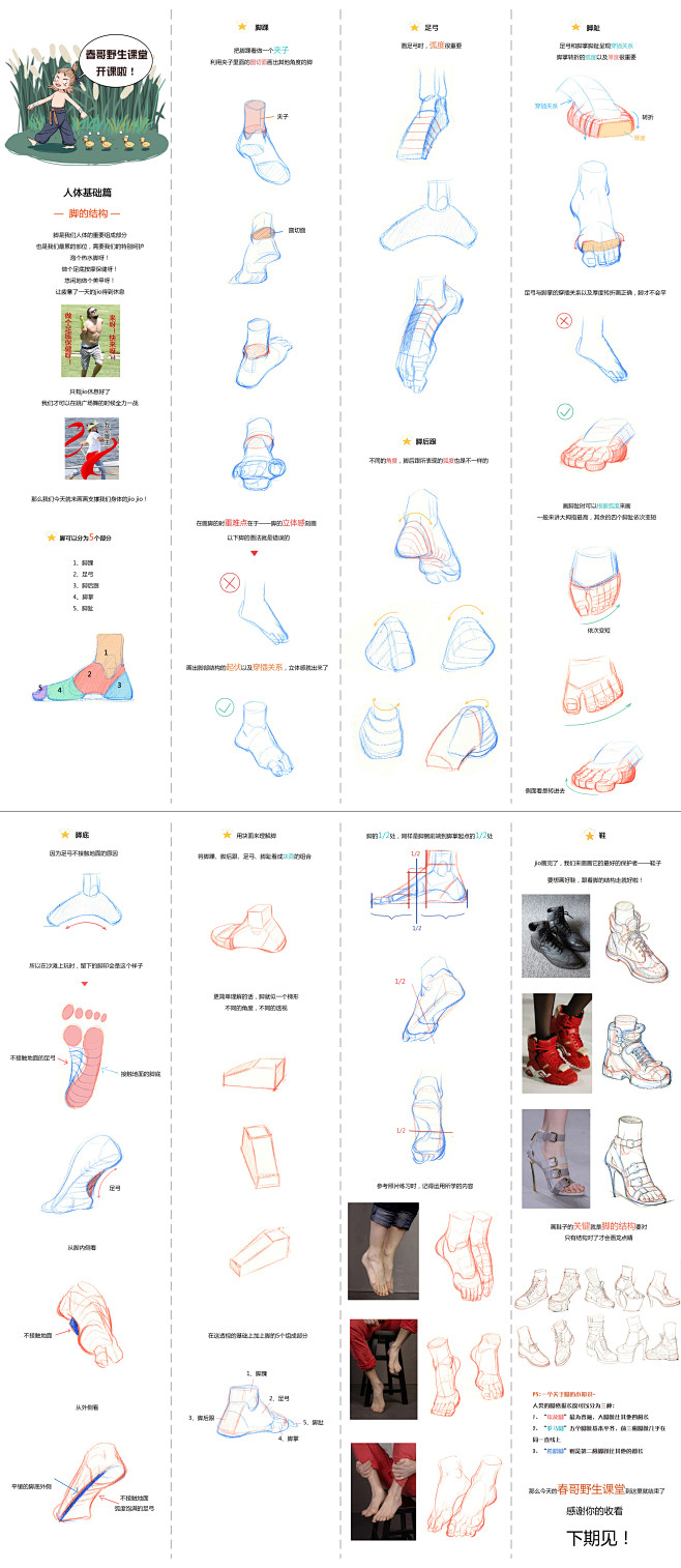 春哥野生课堂-人体基础篇-脚的结构（此图...