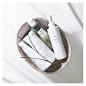“ 수분, 남기다 ”
헉슬리 선인장 클렌징 루틴 론칭!
#헉슬리 #Huxley
,
“Locked in hydration”
Huxley launches the new Cactus #Cleansing Routine! 
#cleansingwater #cleansinggel