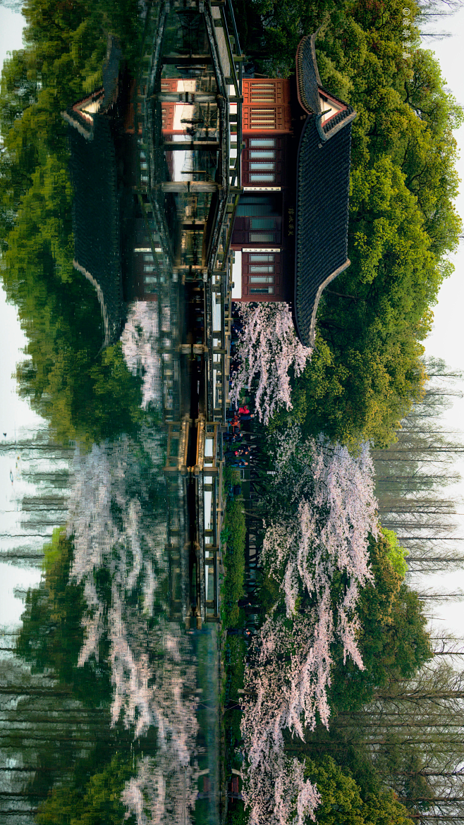 图层 3