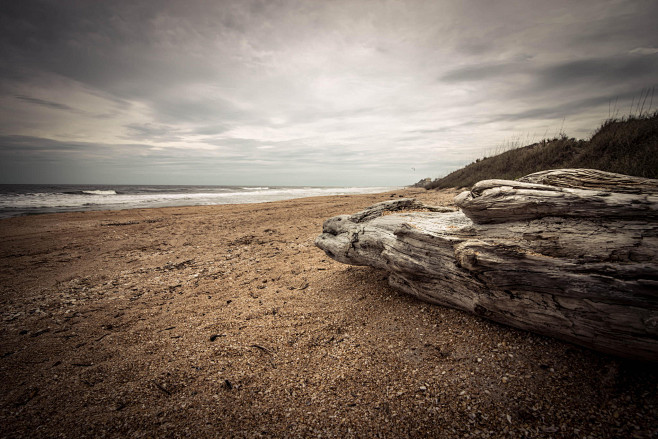 Beach log by Adam St...