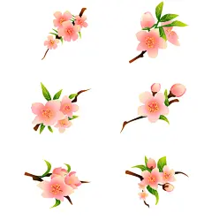 小清新粉色桃花樱花花卉元素插画