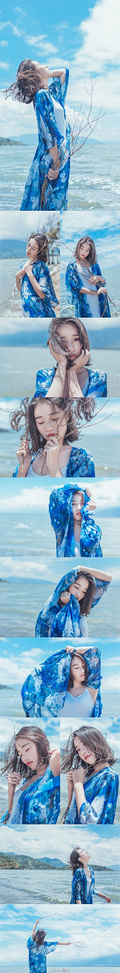 sunny小树采集到海