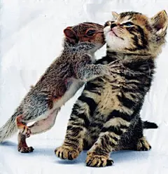 Kisses