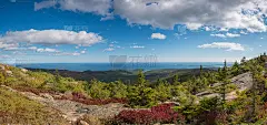 从凯迪拉克山，缅因州的全景