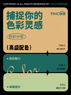 狂踪书生采集到配色