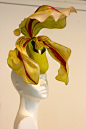 Designer：Philip Treacy