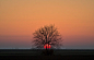 10月27日，罗马尼亚首都布加勒斯特城外，夕阳落在一棵树后。