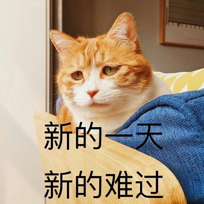 表情包