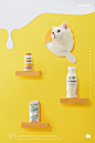 外星猫✖ IN LIGHT ✖ 宠物 饮品