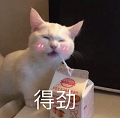 糖豆姑娘采集到表情包