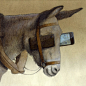 Satirical Illustrations by Pawel Kuczynski