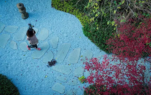 爱生活 爱花园—花园设计师张向明先生系列...