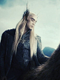 Thranduil.  'Thranduil was the forest entire, grounded in the heart of the world, touching the arc of the sun, holding storms in his lofty heights. He was the Wood.'  http://myzlshen.tumblr.com/post/44364555292/god-help-my-heart-and-my-soul