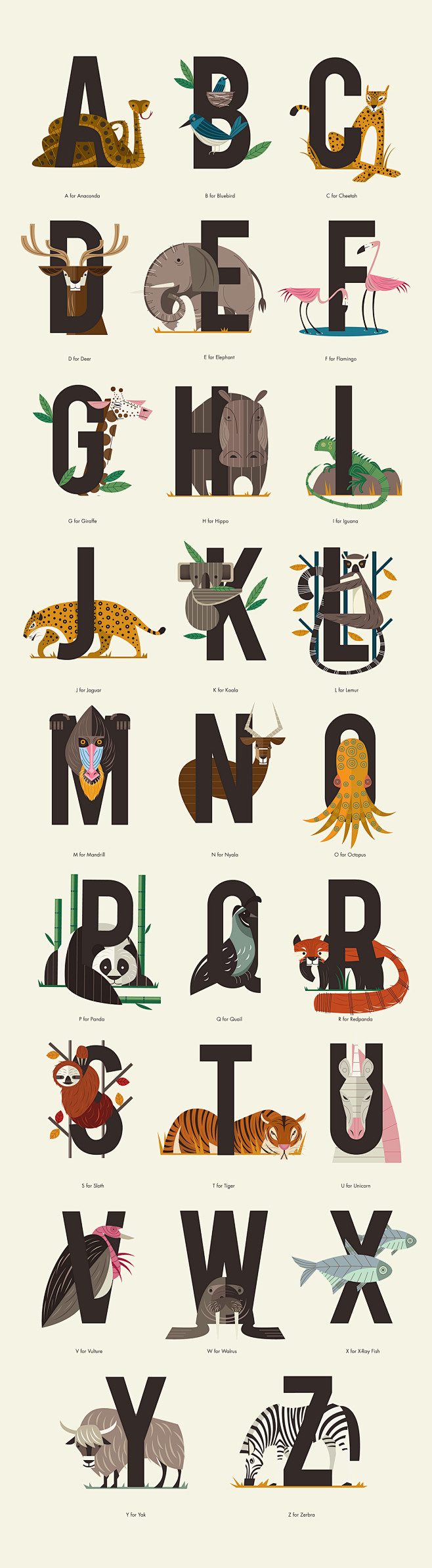 Animals Alphabet : A...