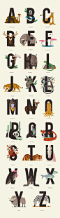 Animals Alphabet : Animals Alphabet A to Z.