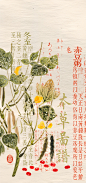 热门 - 热门微博 - 微博