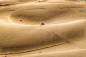 Desert, Sand, Quad, Sand Dunes