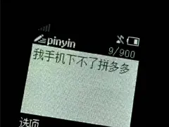 我手机下不了拼多多 - 近期热门表情包-2020/11/18_斗图表情
