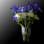 58)Irises & Hydrangea Bouquet