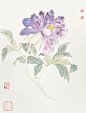 没骨紫色牡丹 下课了_1_国画段东梁（招生）_来自小红书网页版