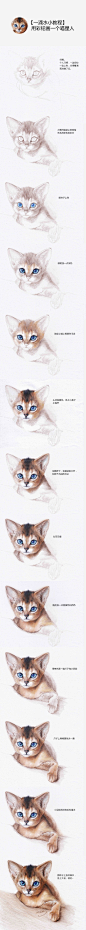 彩铅画猫教程