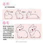 之前的《世界奇妙兔物语》本子特别附赠的画兔小tips册子内容~

这个教程只是我自己过画兔的一些经验总结，仅供参考。艺术创作无绝对的对错，图里注明“错误”的地方只是我认为与真实情况有较大出入而已。大家实际操作的时候请完全按照自己的认知和创意自由发挥~

最后附上一张Google上搜的兔子骨架图给 ​​​​...展开全文c