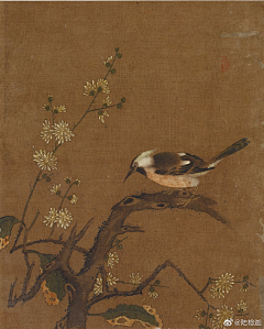 冰魇采集到工笔花鸟