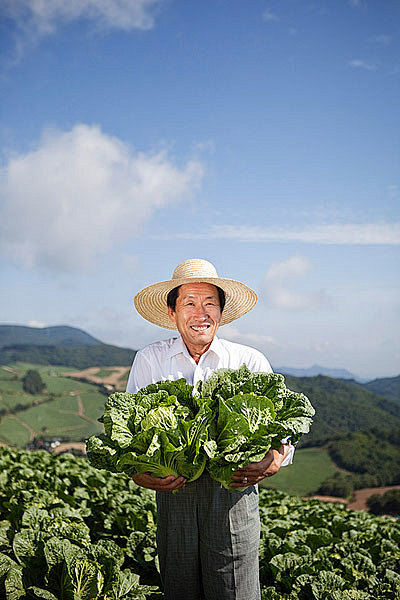 白菜园素材_白菜园图片下载_全景素材