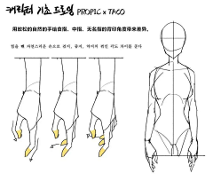 艾迪sen采集到四肢