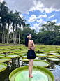 西双版纳植物园