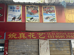 设计师牛爷爷采集到垫图
