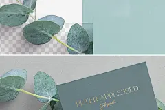 桉树分行名片 (PSD,PDF)