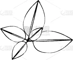 运动模糊,枝,叶子,轮廓线画,单色调,华丽的,清新,环境,植物群,装饰物