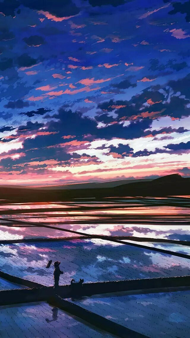 田野