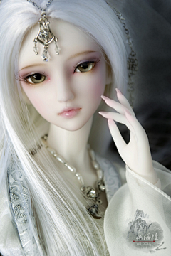 布鲁斯X采集到bjd