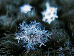 天空中的拉普达采集到美丽的雪花