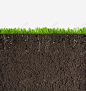 草丛土壤横剖面 页面网页 平面电商 创意素材