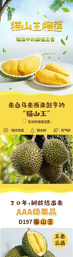 有鱼飞过采集到水果详情页【源文件可下载】