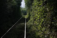 西安小清新铁路走红 吸引众多摄影爱好者拍照_摄影_新闻中心_西安摄影器材城